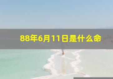 88年6月11日是什么命