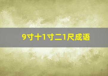 9寸十1寸二1尺成语