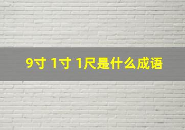 9寸+1寸+1尺是什么成语