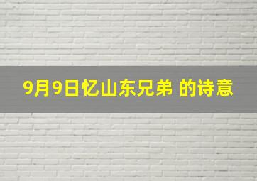 9月9日忆山东兄弟 的诗意