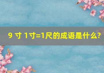 9 寸+1寸=1尺的成语是什么?