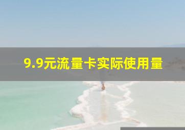 9.9元流量卡实际使用量