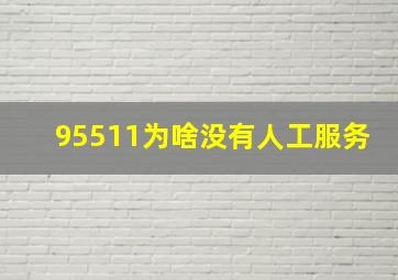 95511为啥没有人工服务