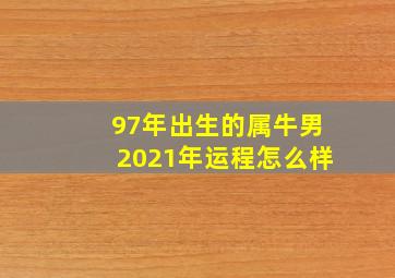 97年出生的属牛男2021年运程怎么样