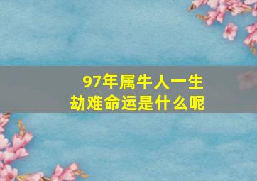 97年属牛人一生劫难命运是什么呢