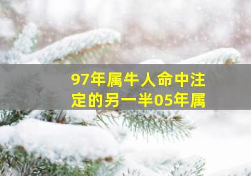 97年属牛人命中注定的另一半05年属