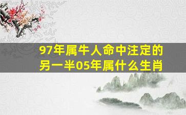 97年属牛人命中注定的另一半05年属什么生肖