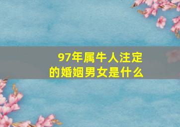 97年属牛人注定的婚姻男女是什么