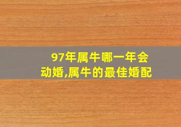 97年属牛哪一年会动婚,属牛的最佳婚配