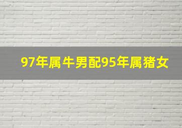 97年属牛男配95年属猪女