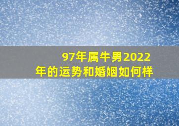 97年属牛男2022年的运势和婚姻如何样