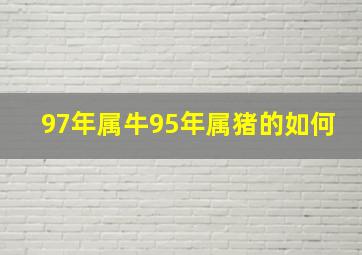 97年属牛95年属猪的如何