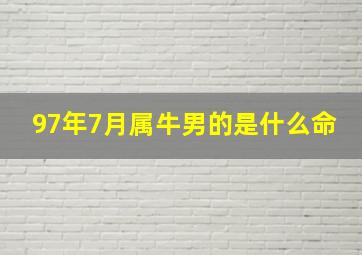 97年7月属牛男的是什么命