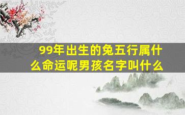 99年出生的兔五行属什么命运呢男孩名字叫什么