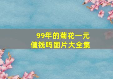 99年的菊花一元值钱吗图片大全集