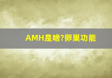 AMH是啥?卵巢功能