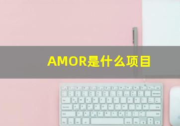 AMOR是什么项目