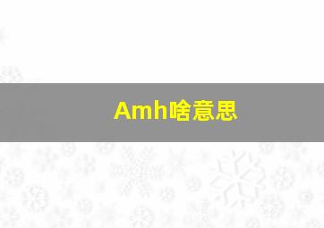 Amh啥意思