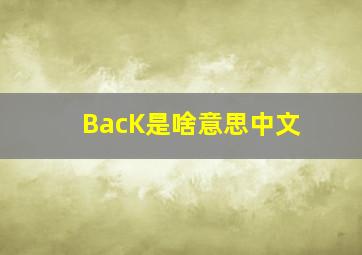 BacK是啥意思中文