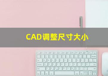 CAD调整尺寸大小