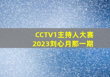 CCTV1主持人大赛2023刘心月那一期