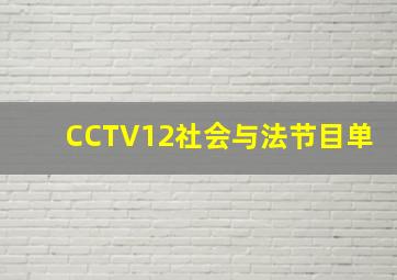 CCTV12社会与法节目单