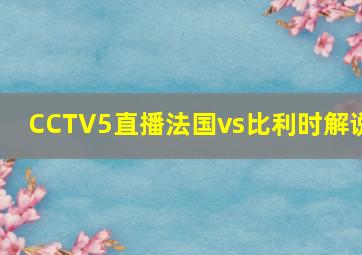 CCTV5直播法国vs比利时解说