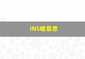 INS啥意思