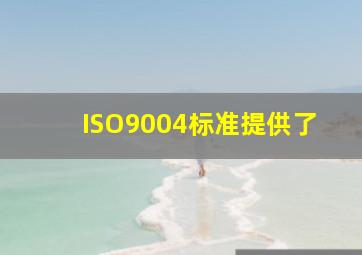 ISO9004标准提供了