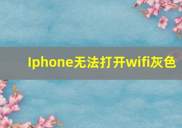 Iphone无法打开wifi灰色