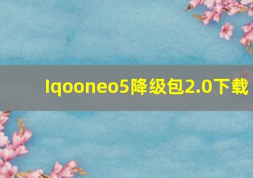 Iqooneo5降级包2.0下载