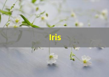 Iris