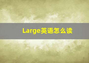 Large英语怎么读