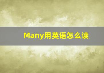 Many用英语怎么读