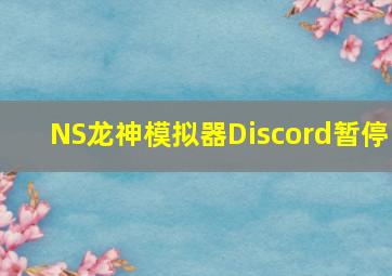 NS龙神模拟器Discord暂停