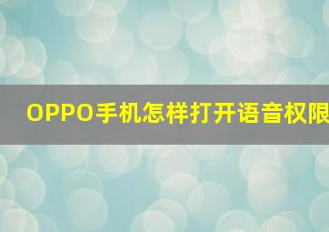 OPPO手机怎样打开语音权限