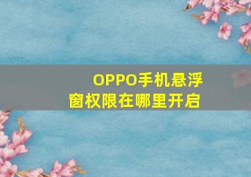 OPPO手机悬浮窗权限在哪里开启