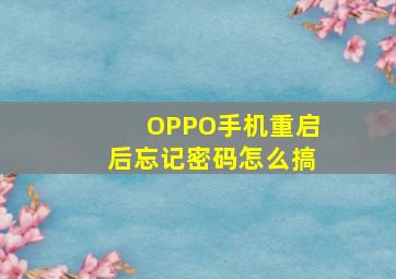 OPPO手机重启后忘记密码怎么搞