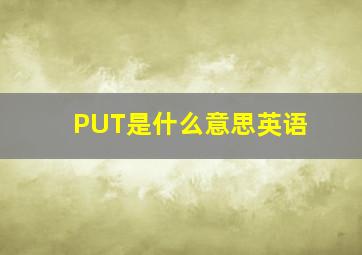 PUT是什么意思英语