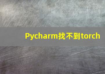 Pycharm找不到torch