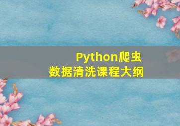 Python爬虫数据清洗课程大纲