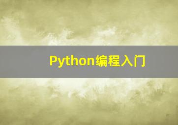 Python编程入门