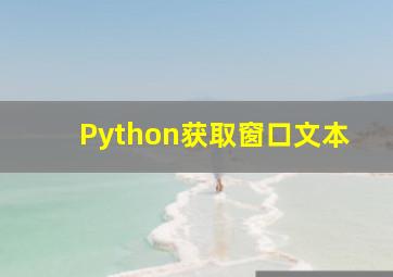 Python获取窗口文本