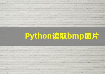 Python读取bmp图片