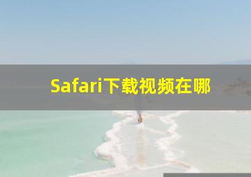 Safari下载视频在哪