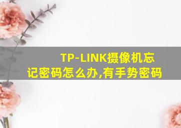 TP-LINK摄像机忘记密码怎么办,有手势密码