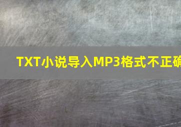 TXT小说导入MP3格式不正确