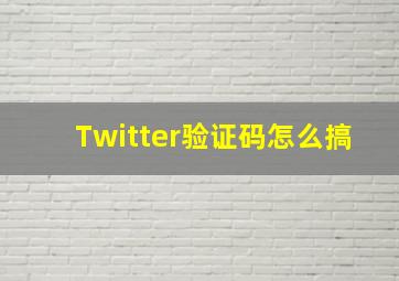 Twitter验证码怎么搞