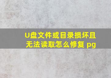 U盘文件或目录损坏且无法读取怎么修复 pg