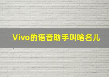 Vivo的语音助手叫啥名儿